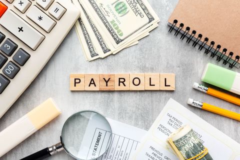 Payroll Software Information Guide: Explore Payroll System Basics, Compliance Insights, Reporting Features, Suggestions, Details, and Help